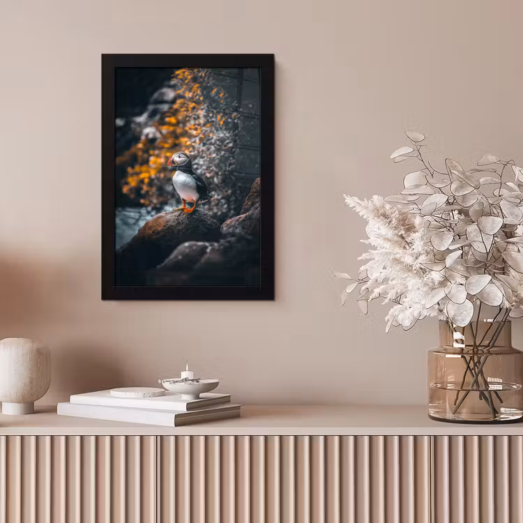 Poster met lijst - Papegaai - Vogel - Rots - Wit — 5