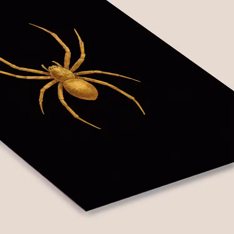 Poster met lijst - Spin - Goud - Minimalistisch - Poten — 7