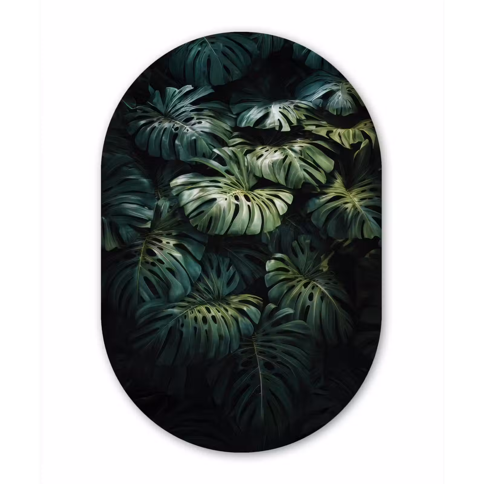 Wandoval Glas – Plant - Monstera - Lichtinval — 1