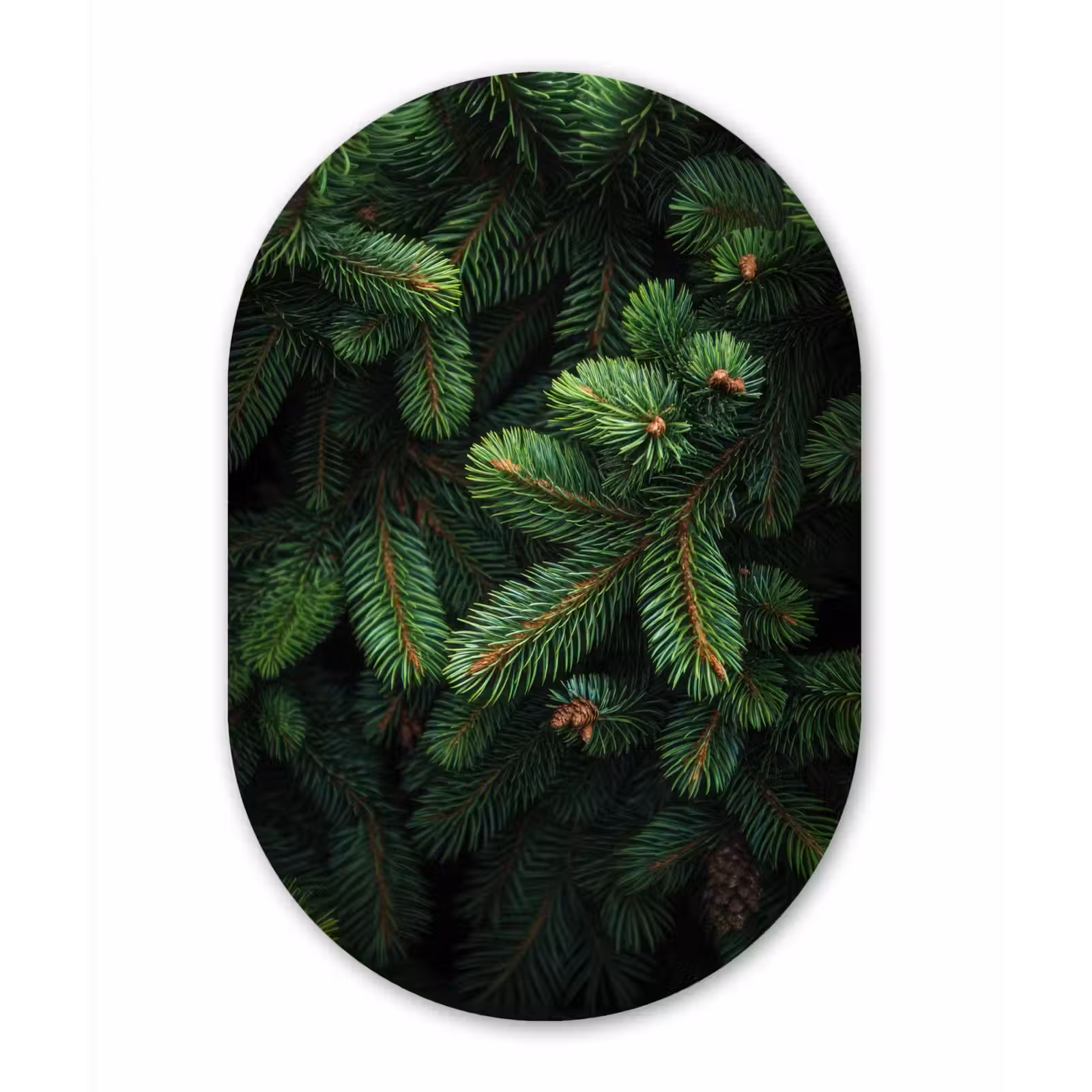 Wandoval Glas – Sparrentakken - Knoppen - Naalden - Groen — 1