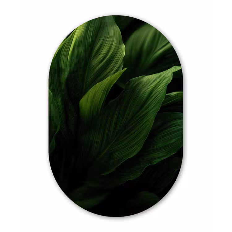 Wandoval Glas – Bladeren - Schaduw - Groen - Textuur — 1