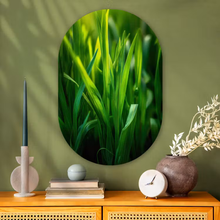 Wandoval Glas – Grassprieten - Lichtinval - Groen — 2