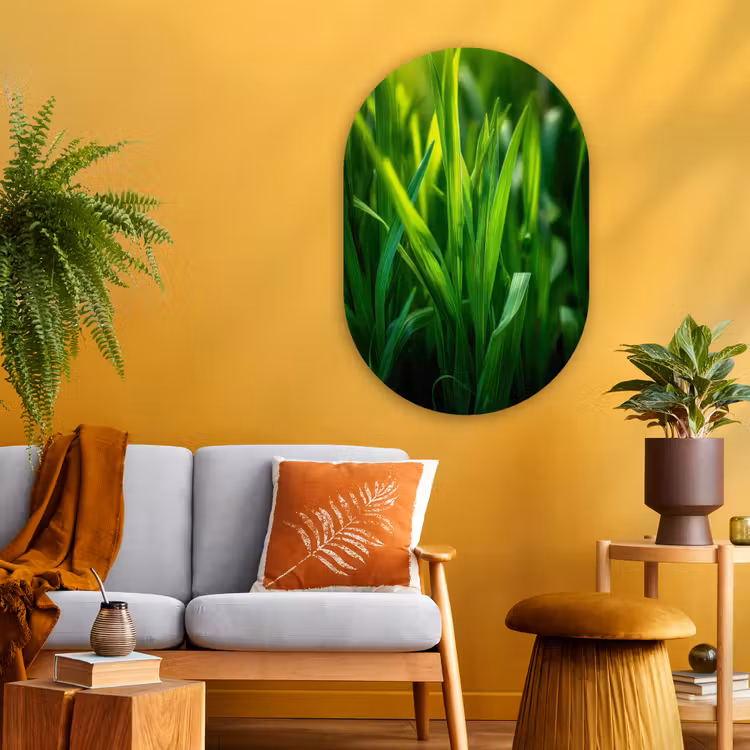 Wandoval Glas – Grassprieten - Lichtinval - Groen — 3