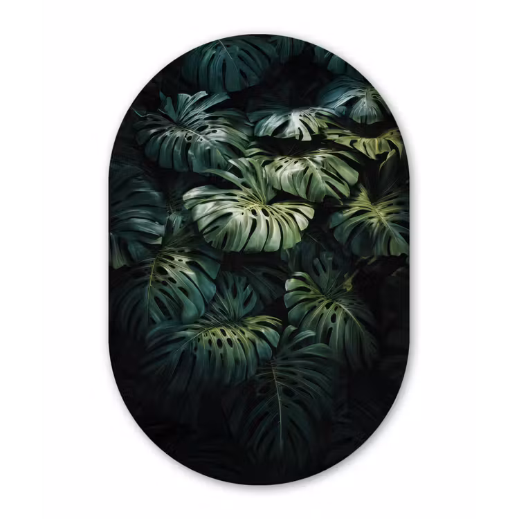 Wandoval Glas – Plant - Monstera - Lichtinval — 1
