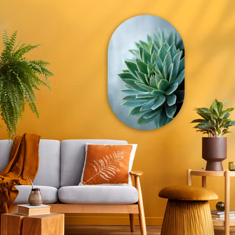Wandoval Glas – Vetplant - Bladeren - Groen - Wazig — 3