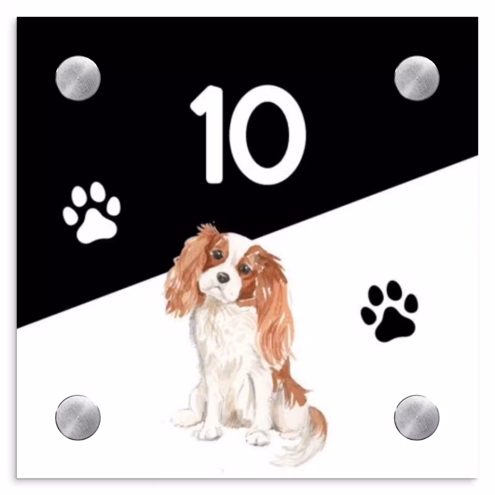 Naambordje voordeur - Vierkant - Zwart wit - Huisdier - Cavalier King Charles Spaniël — 1