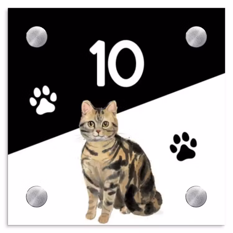 Naambordje voordeur - Vierkant - Zwart wit - Huisdier - Bruingestreepte kat — 1
