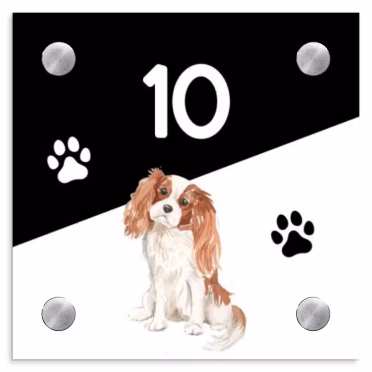 Naambordje voordeur - Vierkant - Zwart wit - Huisdier - Cavalier King Charles Spaniël — 1