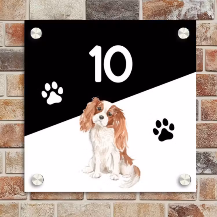 Naambordje voordeur - Vierkant - Zwart wit - Huisdier - Cavalier King Charles Spaniël — 4