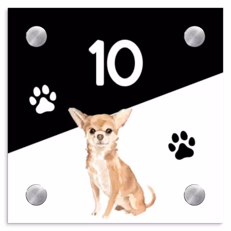 Naambordje voordeur - Vierkant - Zwart wit - Huisdier - Chihuahua — 1