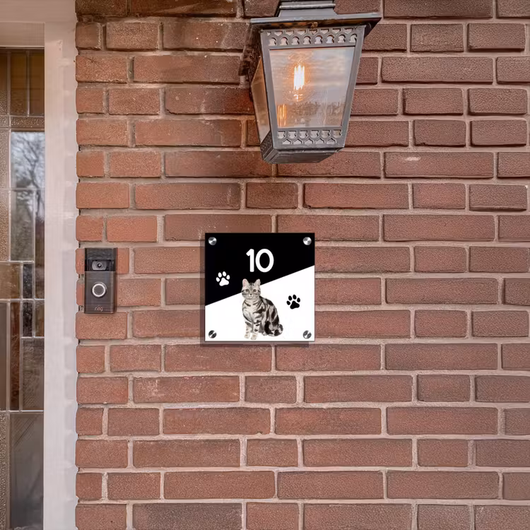 Naambordje voordeur - Vierkant - Zwart wit - Huisdier - Zilvergrijs gestreepte kat — 3