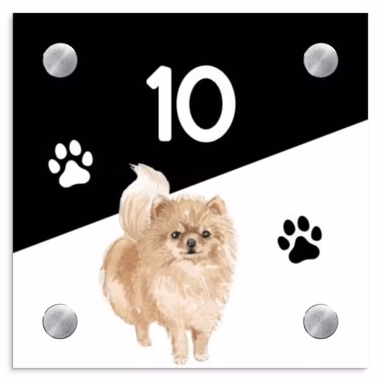 Naambordje voordeur - Vierkant - Zwart wit - Huisdier - Pomeranian — 1