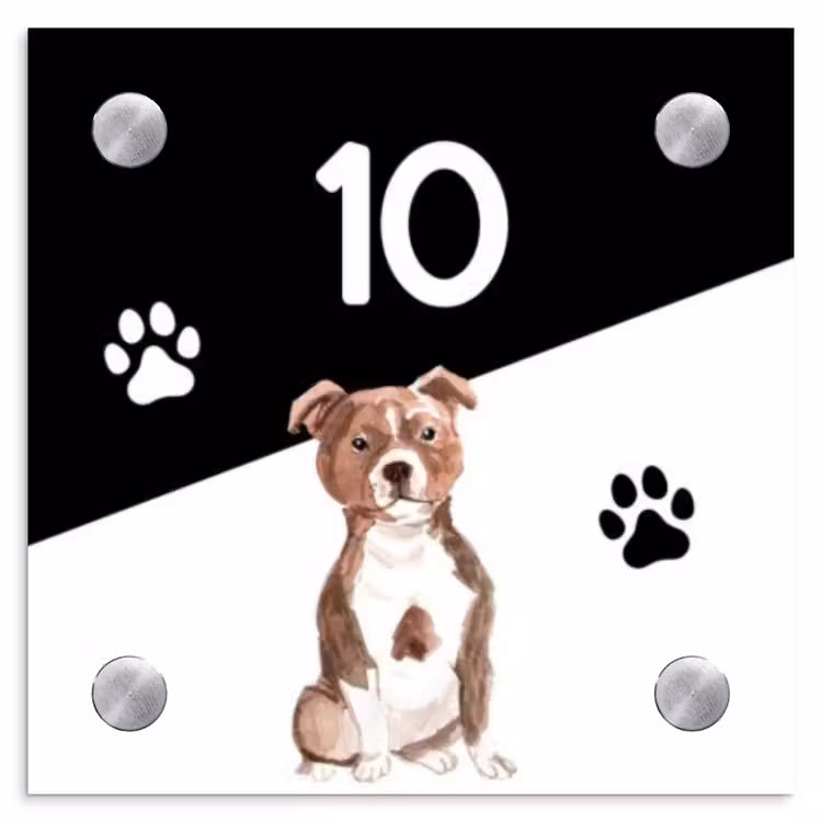 Naambordje voordeur - Vierkant - Zwart wit - Huisdier - Staffordshire bullterriër — 1