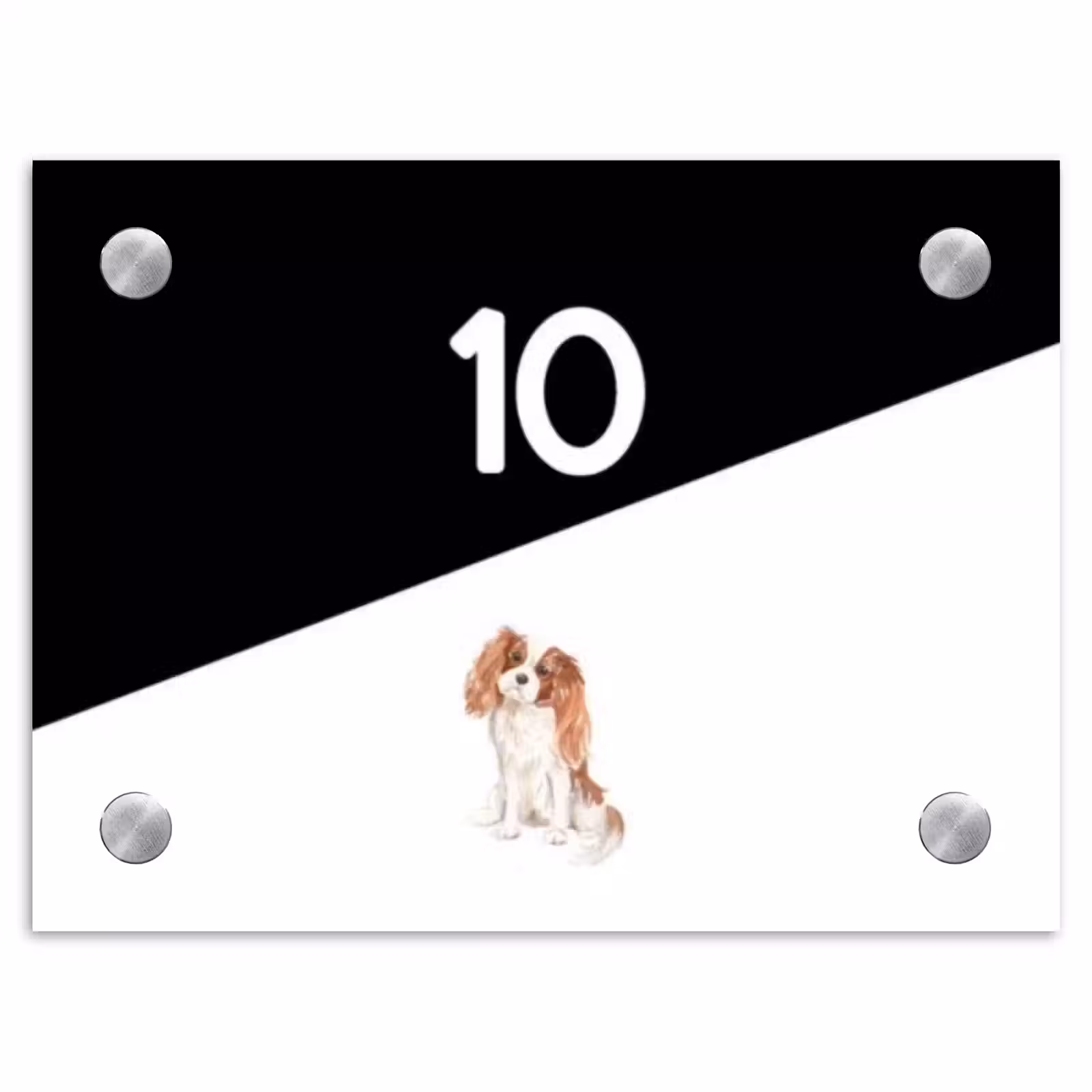 Naambordje voordeur - Rechthoek - Zwart wit - Huisdier - Cavalier King Charles Spaniël — 1
