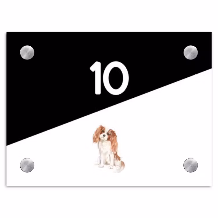 Naambordje voordeur - Rechthoek - Zwart wit - Huisdier - Cavalier King Charles Spaniël — 1