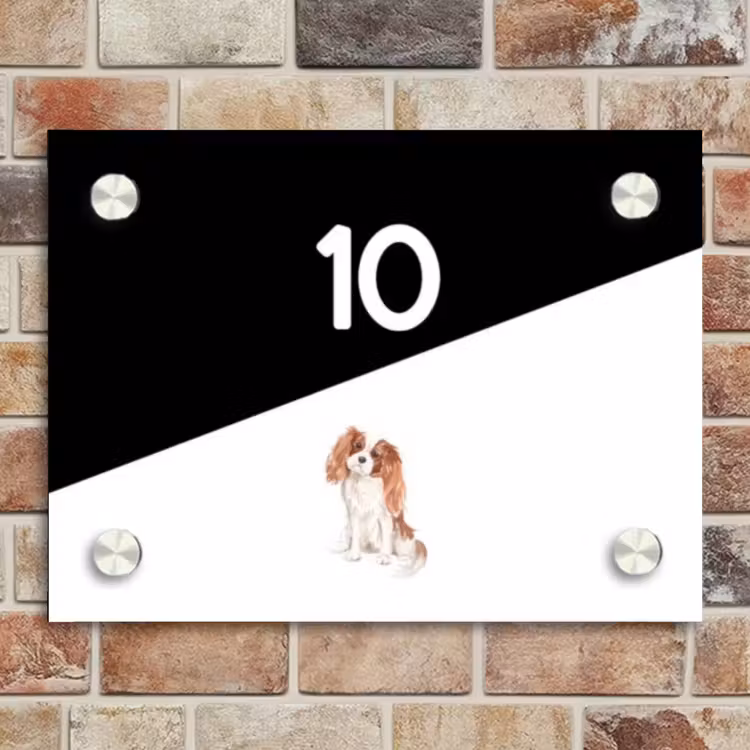 Naambordje voordeur - Rechthoek - Zwart wit - Huisdier - Cavalier King Charles Spaniël — 4