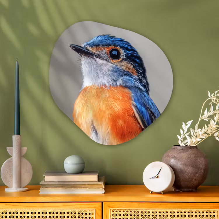 Organische vorm - schilderij - Aluminium - Kleurrijk - Vogeltje - Veren - Blauw — 2