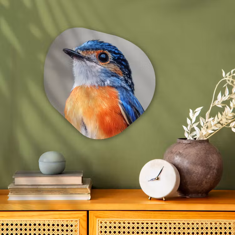 Organisch schilderij – Kleurrijk - Vogeltje - Veren - Blauw — 2