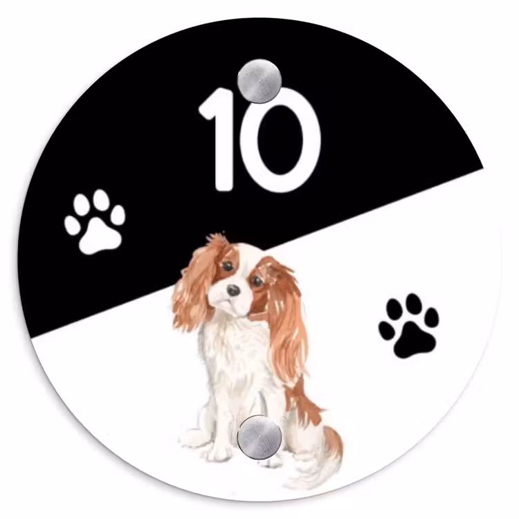 Naambordje voordeur - Rond - Zwart wit - Huisdier - Cavalier King Charles Spaniël — 1
