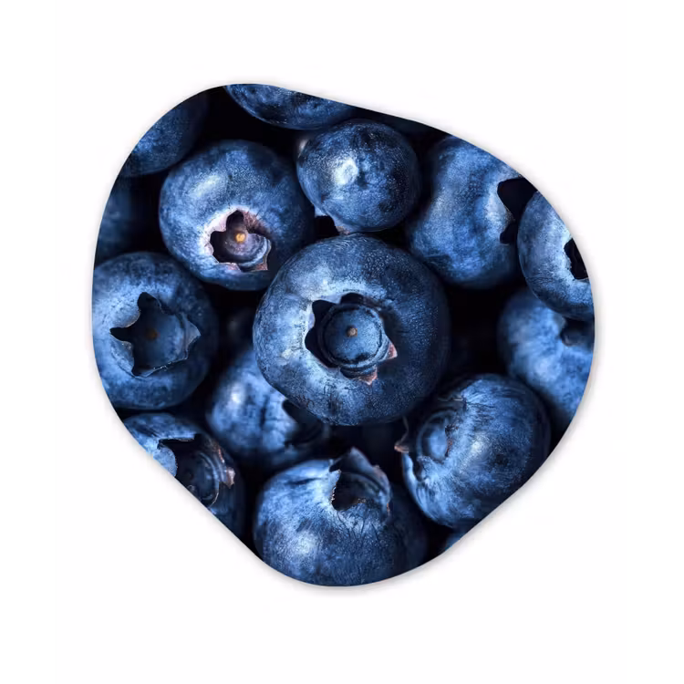 Organische vorm - schilderij - Aluminium - Bessen - Blauw - Fruit — 1