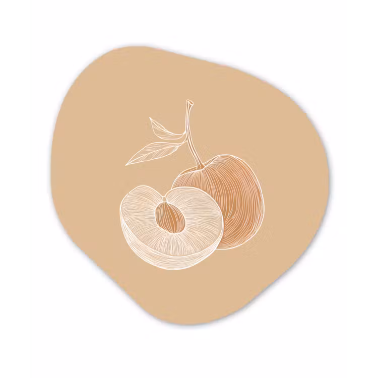 Organisch schilderij – Perzik - Lijntekening - Pit - Beige — 1