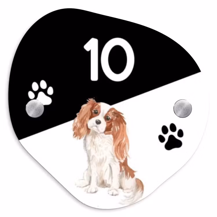 Naambordje voordeur - Organisch - Zwart wit - Huisdier - Cavalier King Charles Spaniël — 1