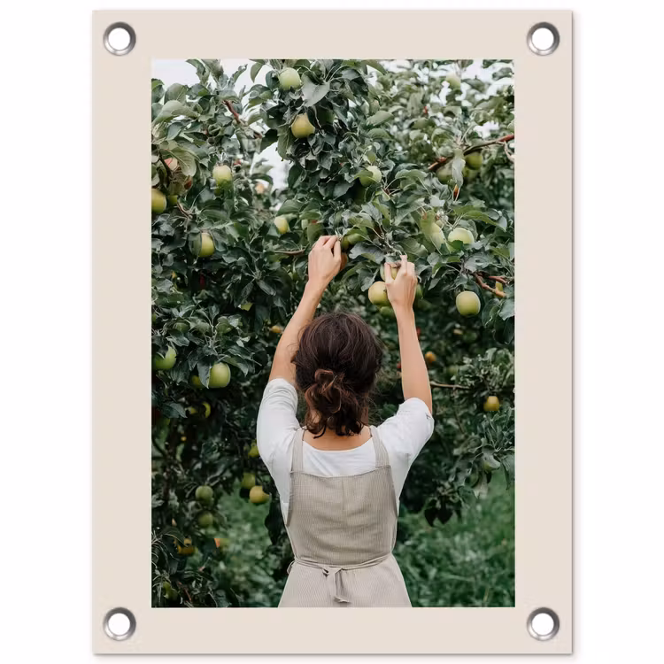 Tuinposter - Boom - Appels - Plukken - Natuur — 1