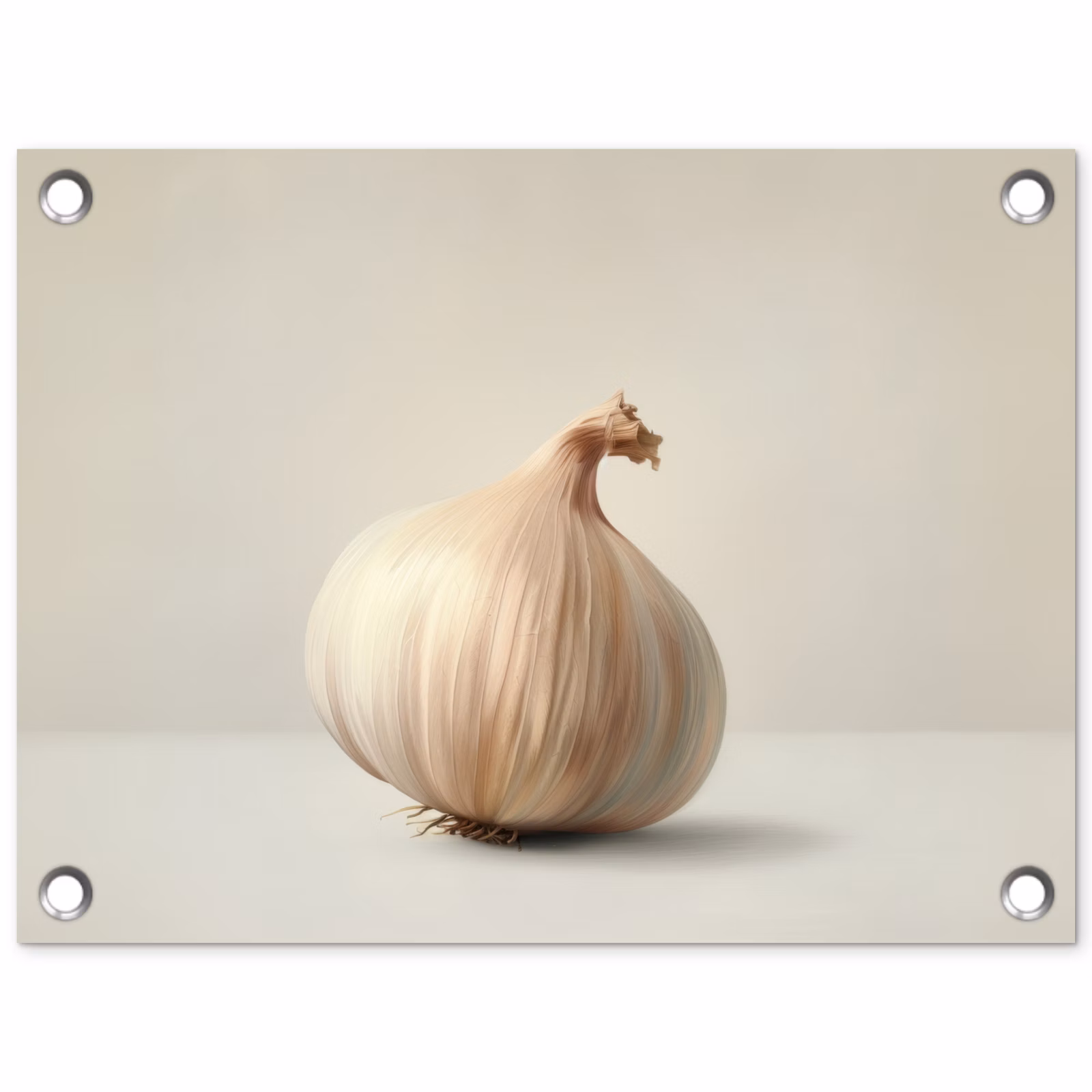 Tuinposter - Knoflook Beige — 1