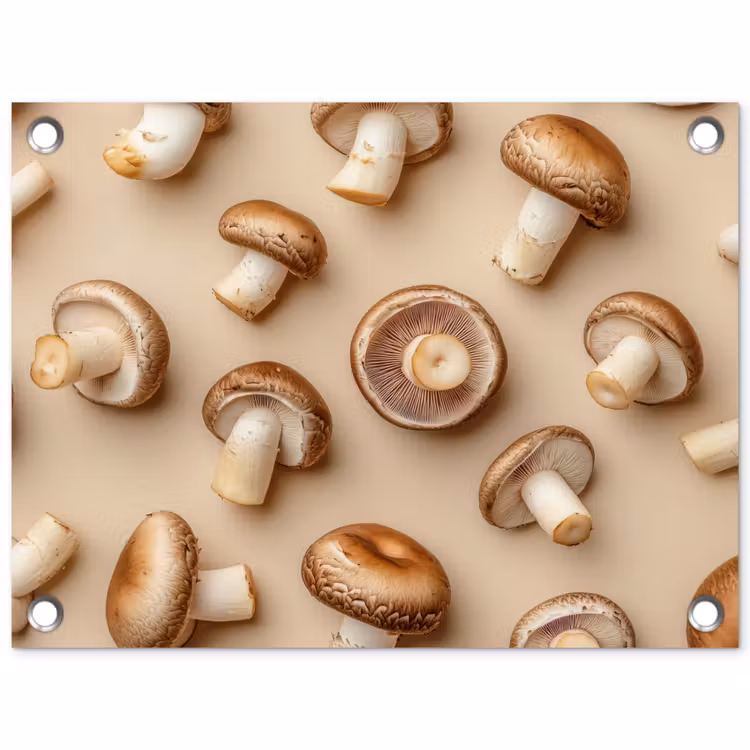 Tuinposter - Kastanje Champignons - Beige