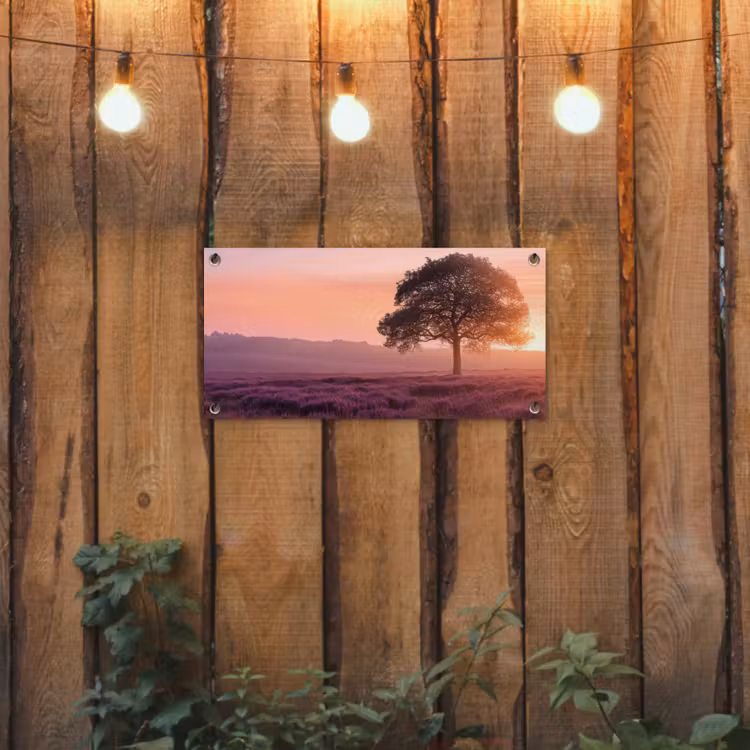 Tuinposter - Heide Zonsopkomst Eenzame Boom — 2