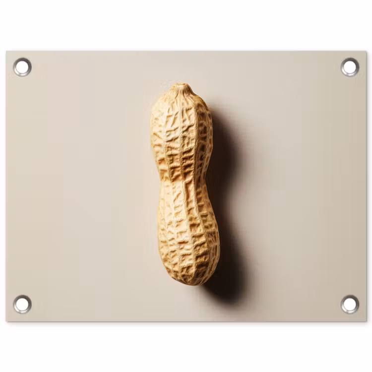 Tuinposter - Pinda - Ruw - Beige