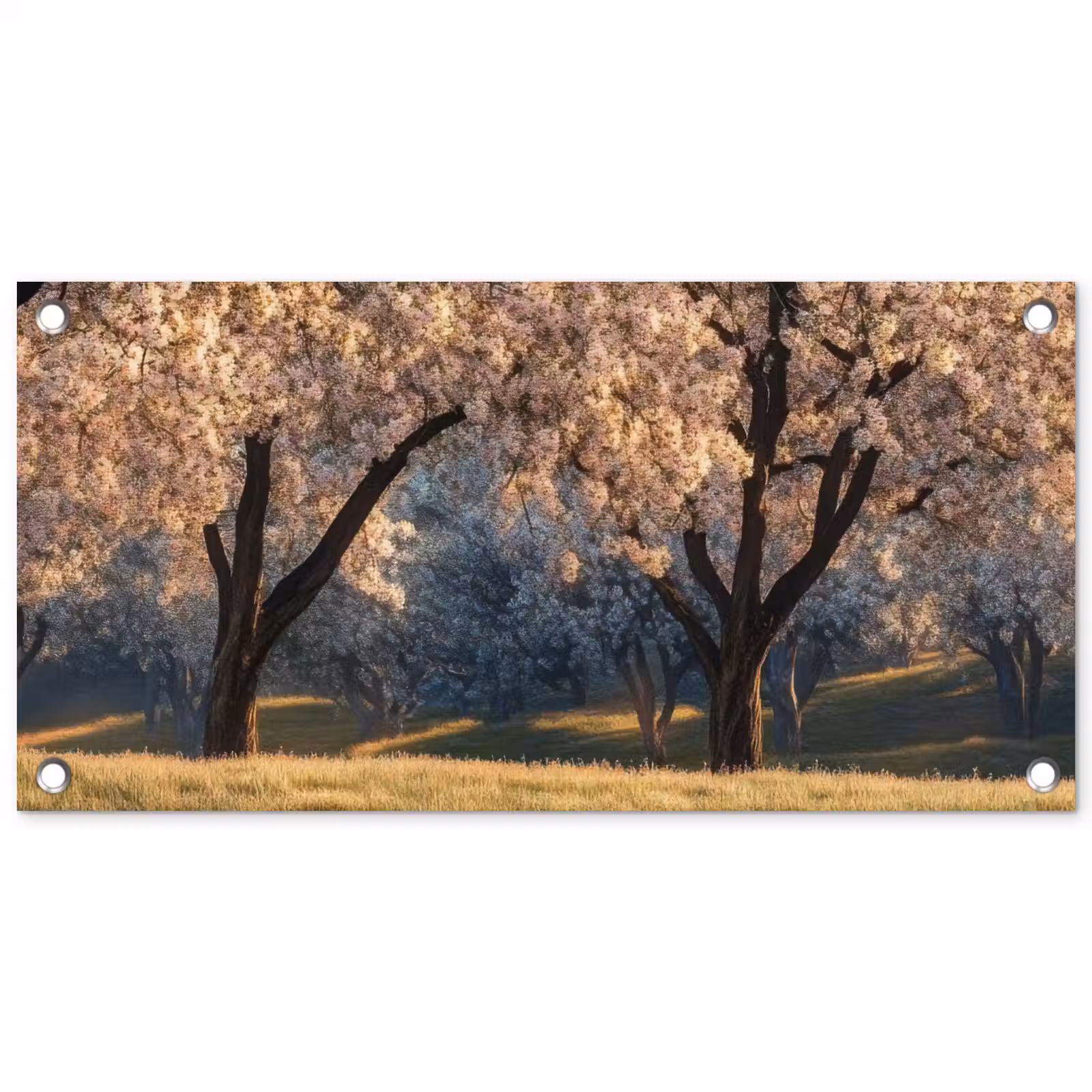 Tuinposter - Bomen - Bloesem - Lente — 1