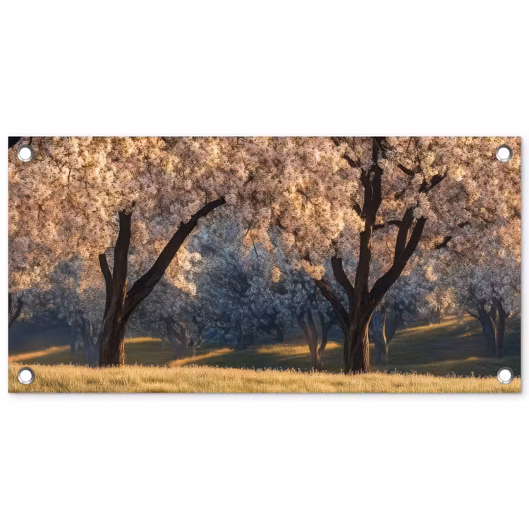 Tuinposter - Bomen - Bloesem - Lente — 1