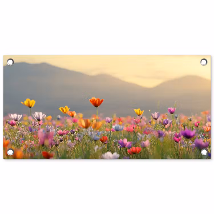 Tuinposter - Bloemenveld - Bergen - Zonlicht - Bloemen — 1