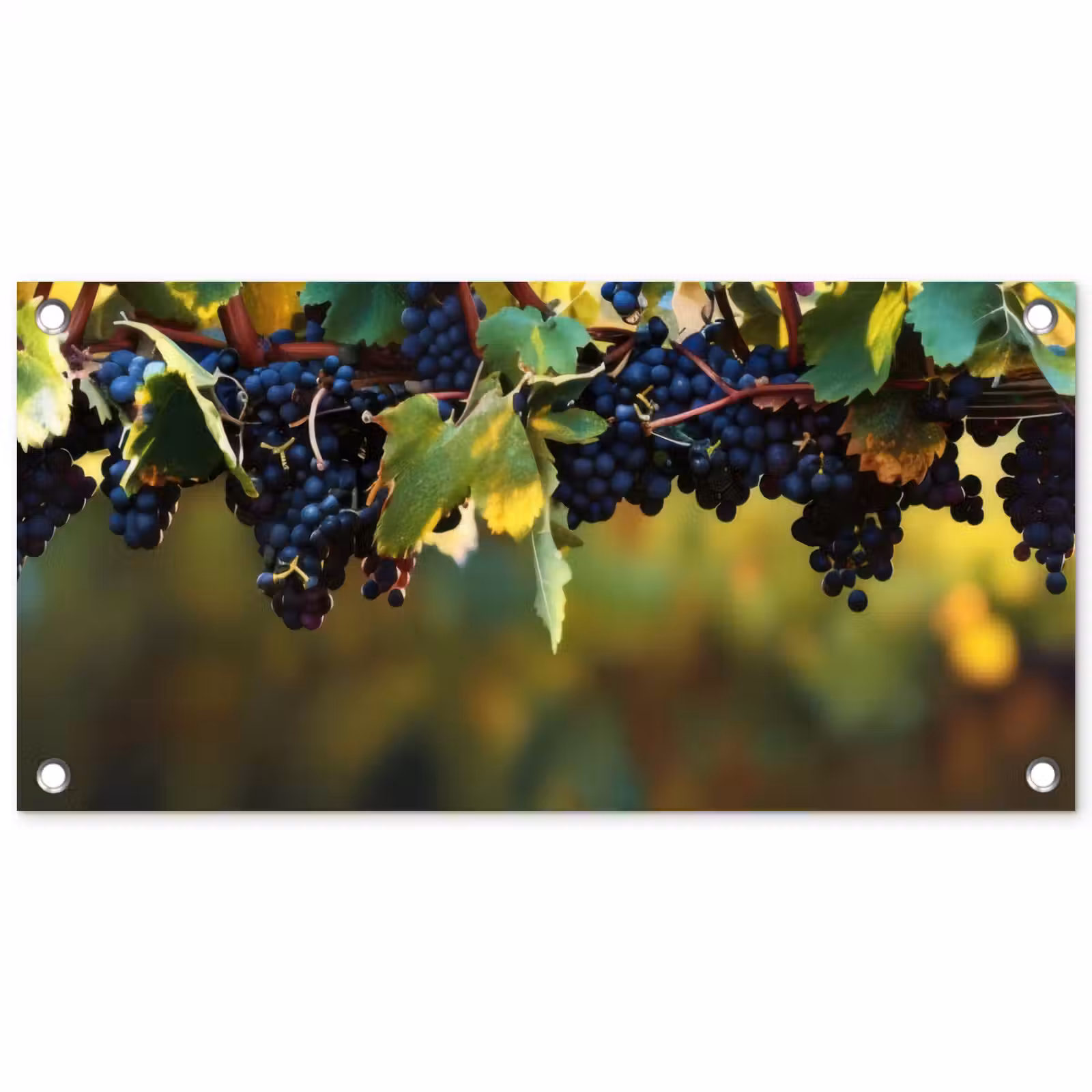 Tuinposter - Druiven - Wijn - Natuur - Groen — 1