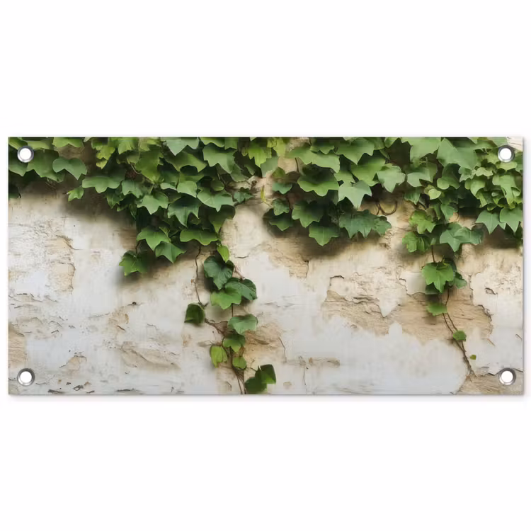 Tuinposter - Klimop - Muur - Groen — 1