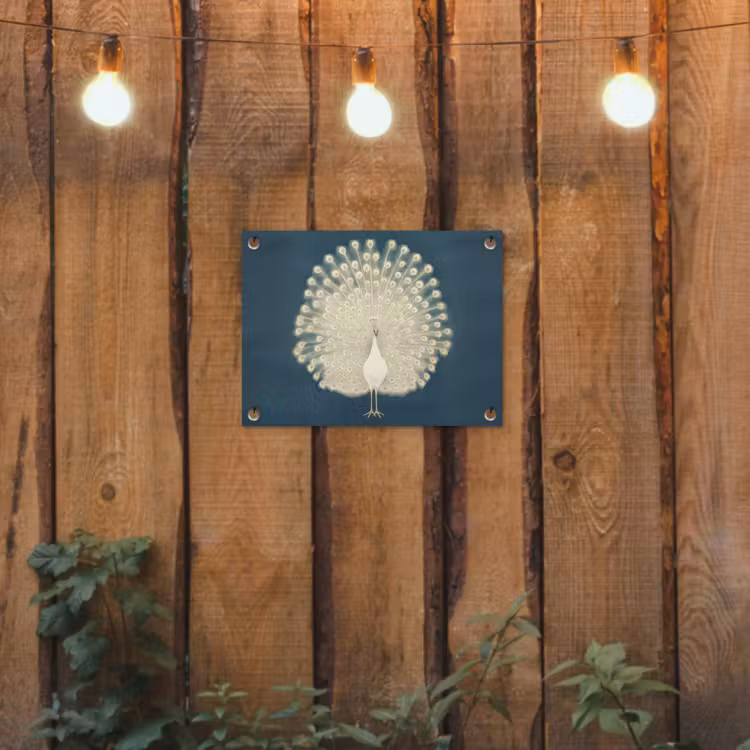 Tuinposter - Vogel - Blauw - Vintage — 2