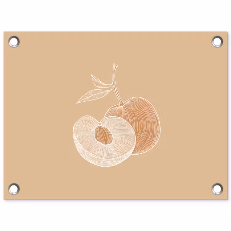 Tuinposter - Perzik - Lijntekening - Pit - Beige — 1