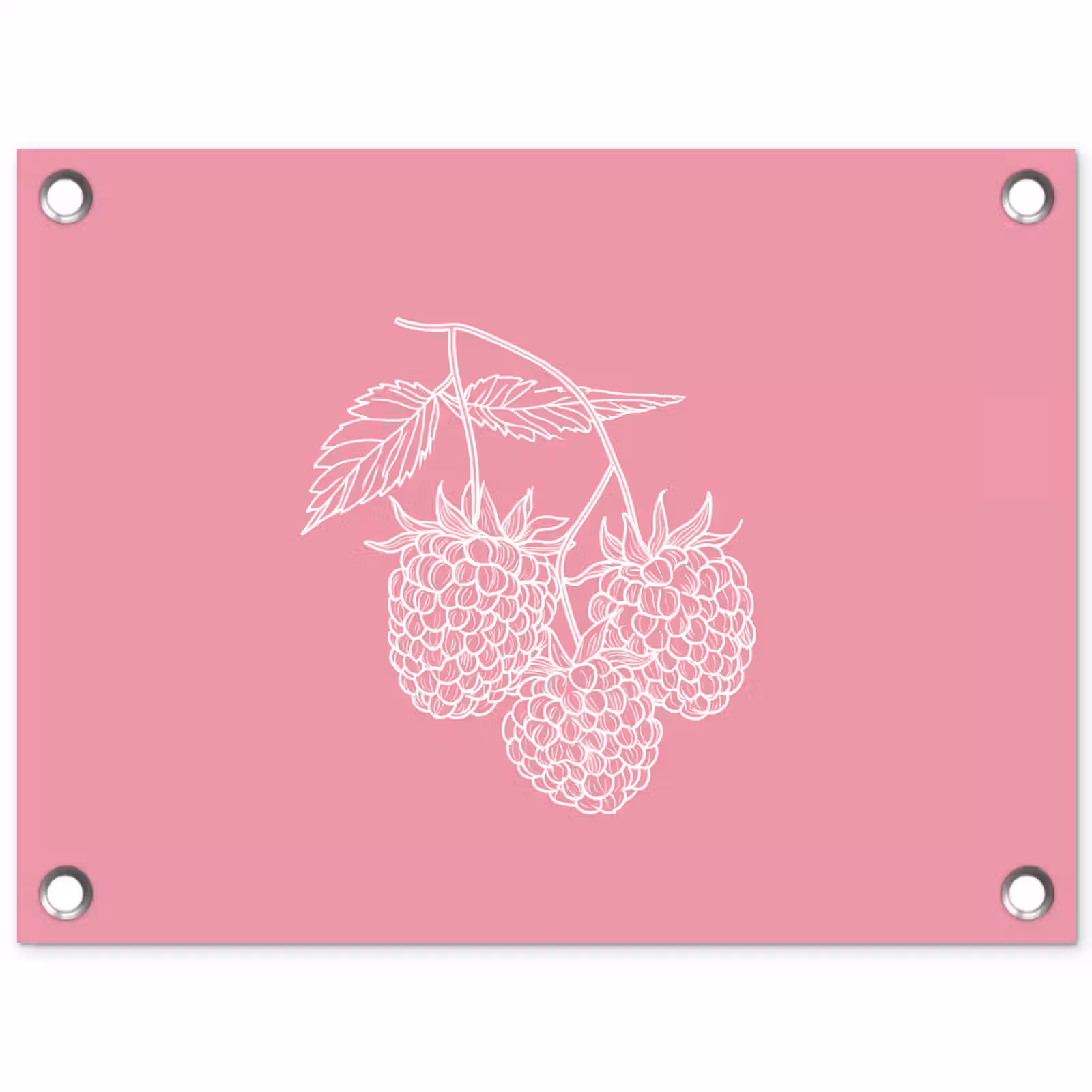 Tuinposter - Frambozen - Steel - Getekend - Roze — 1