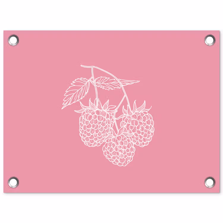Tuinposter - Frambozen - Steel - Getekend - Roze — 1