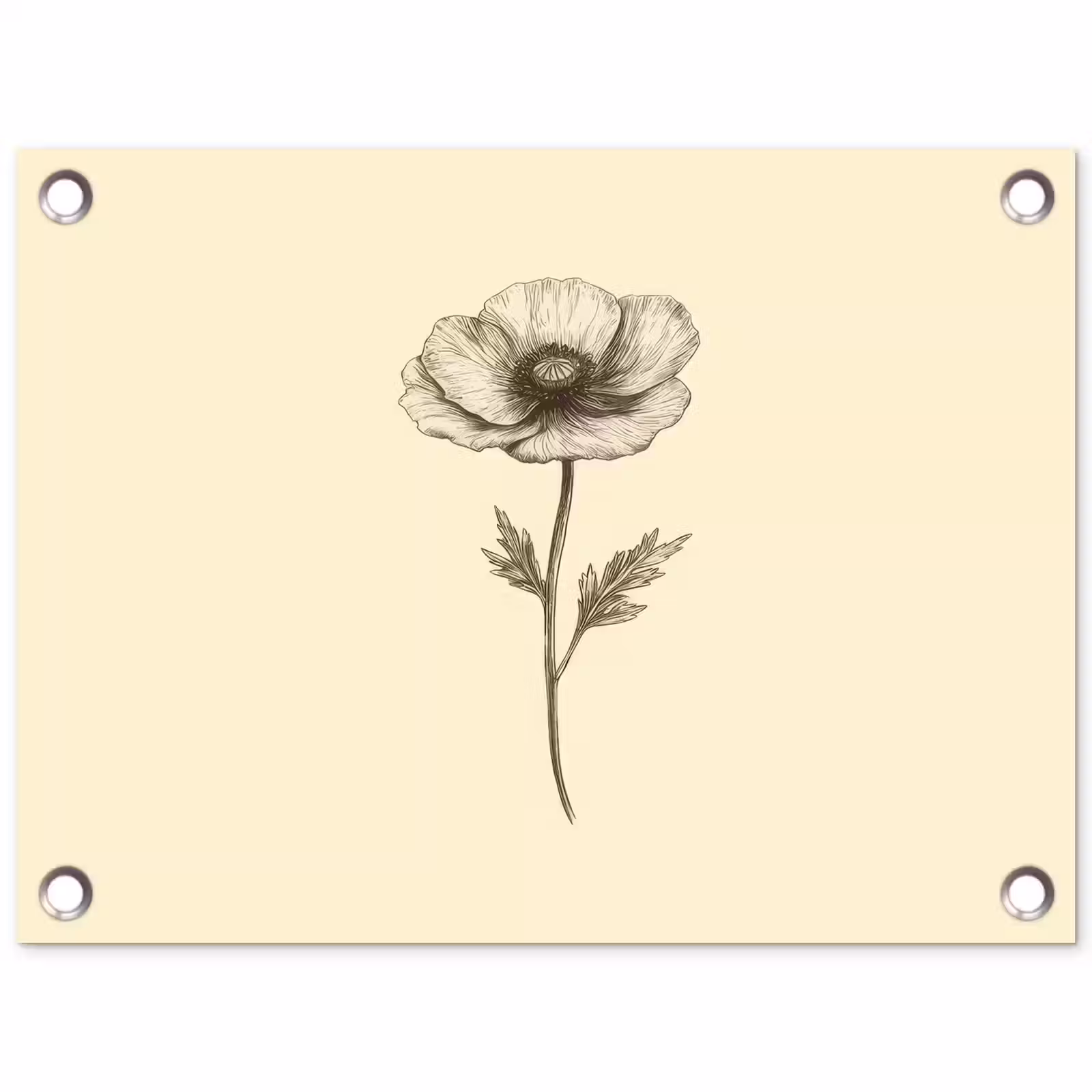 Tuinposter - Klaproos - Illustratie - Zwart — 1