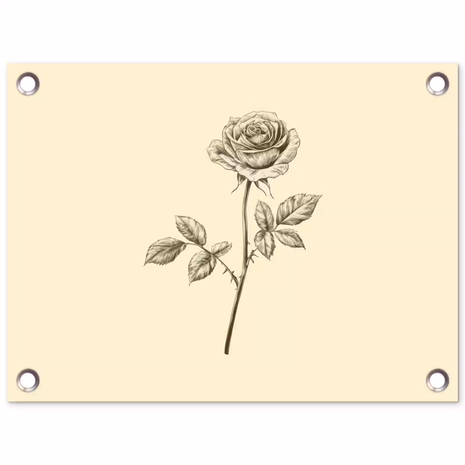 Tuinposter - Illustratie - Zwart - Roos — 1