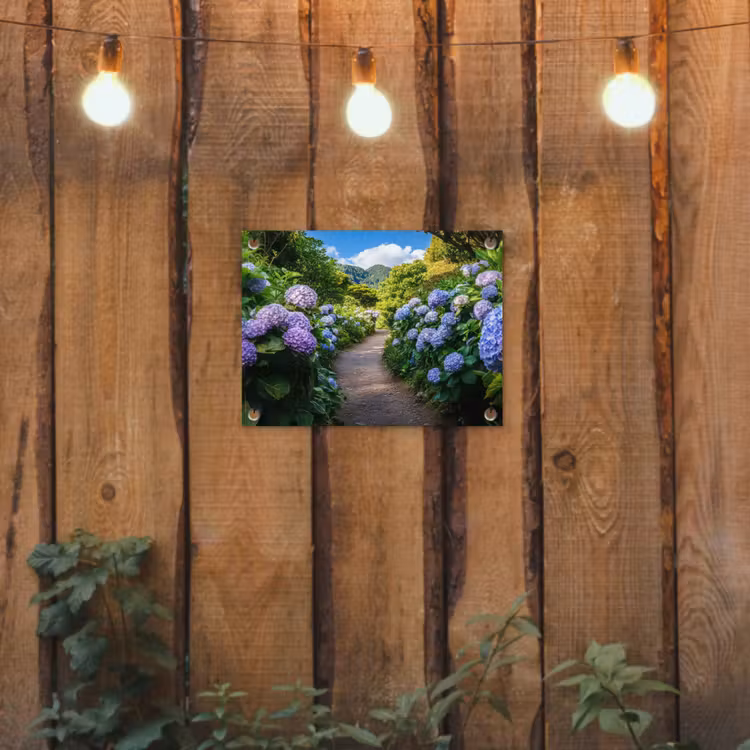 Tuinposter - Hortsensia - Pad - Bloemen — 2