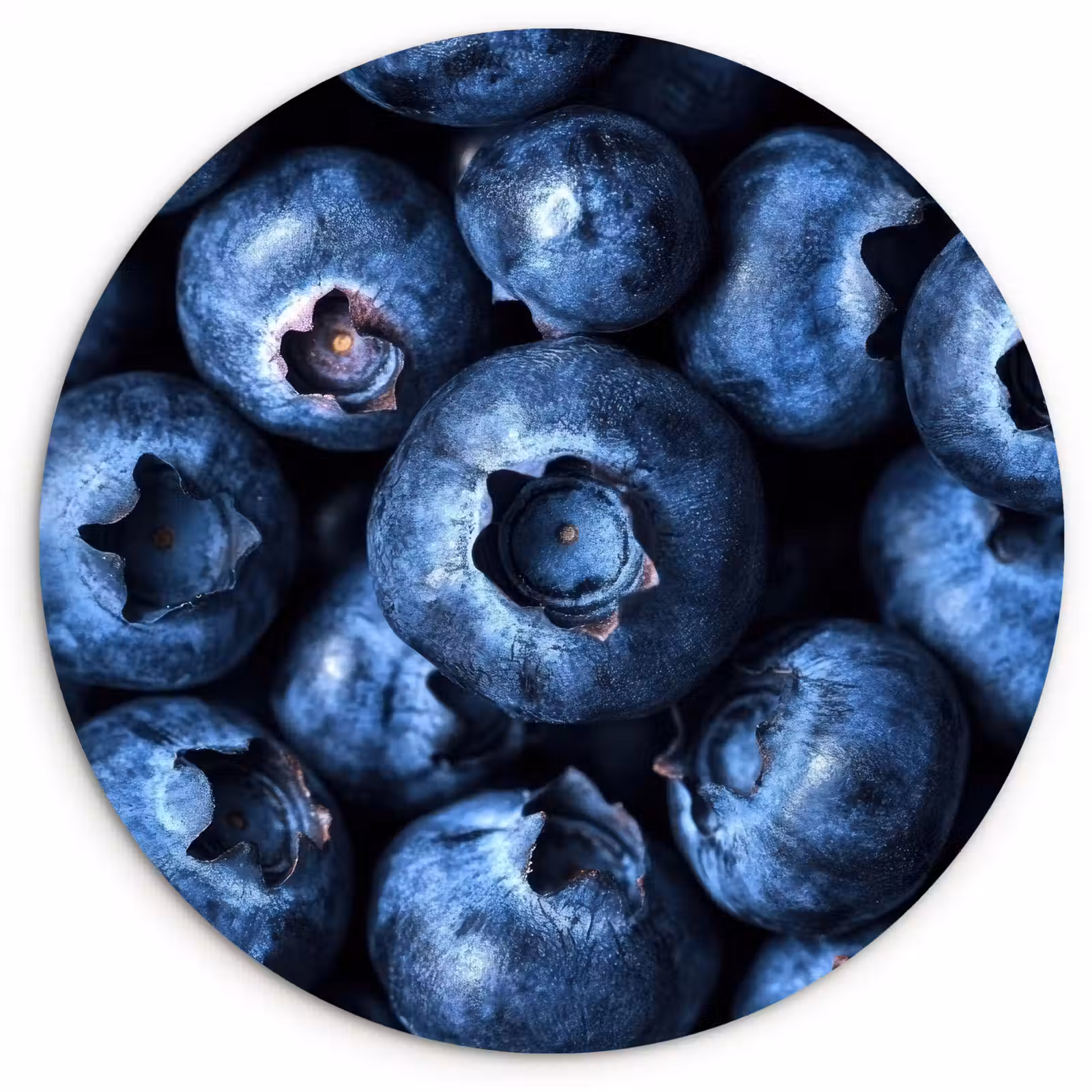 Muurcirkel glas - Bessen - Blauw - Fruit — 1