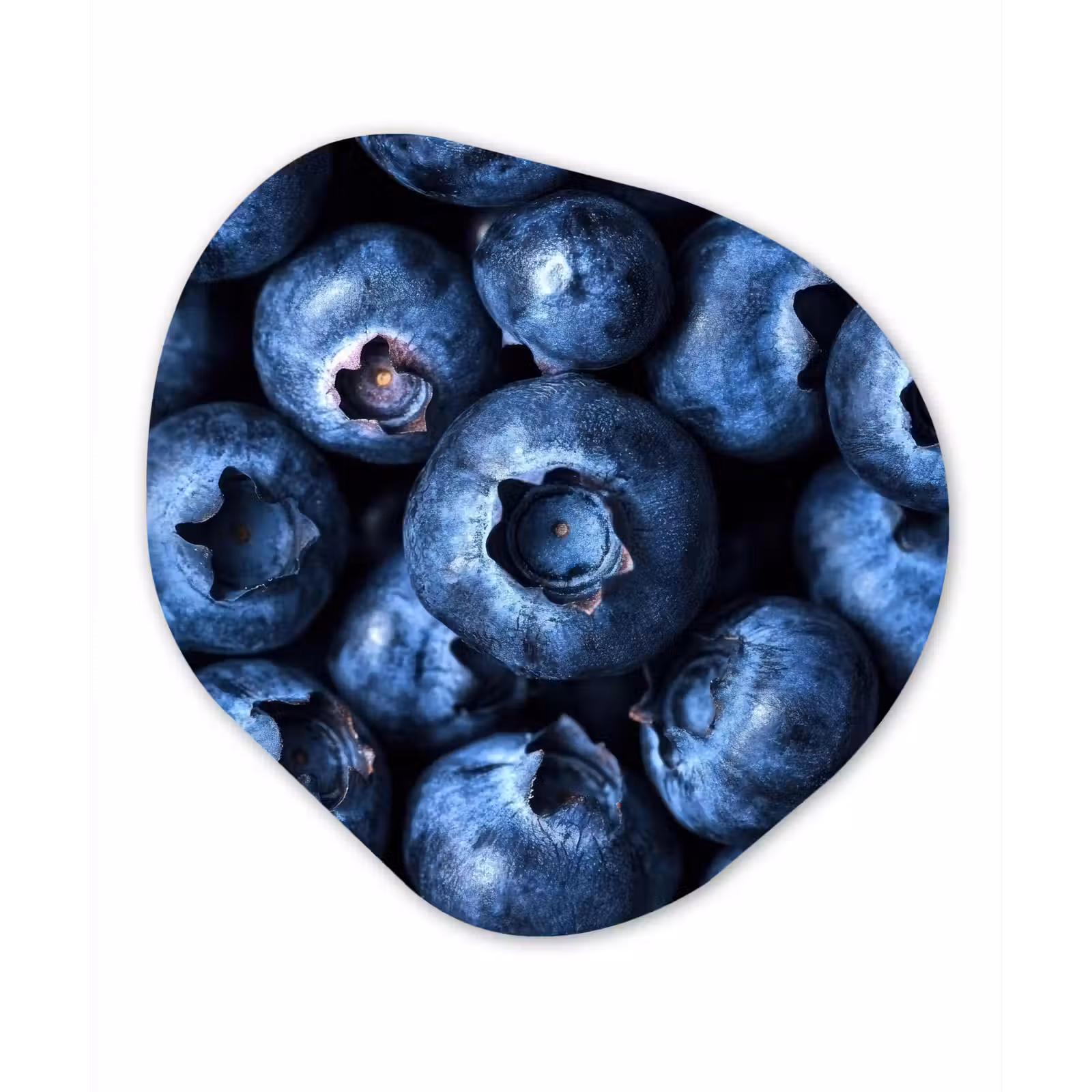 Organisch schilderij - Glas - Bessen - Blauw - Fruit — 1