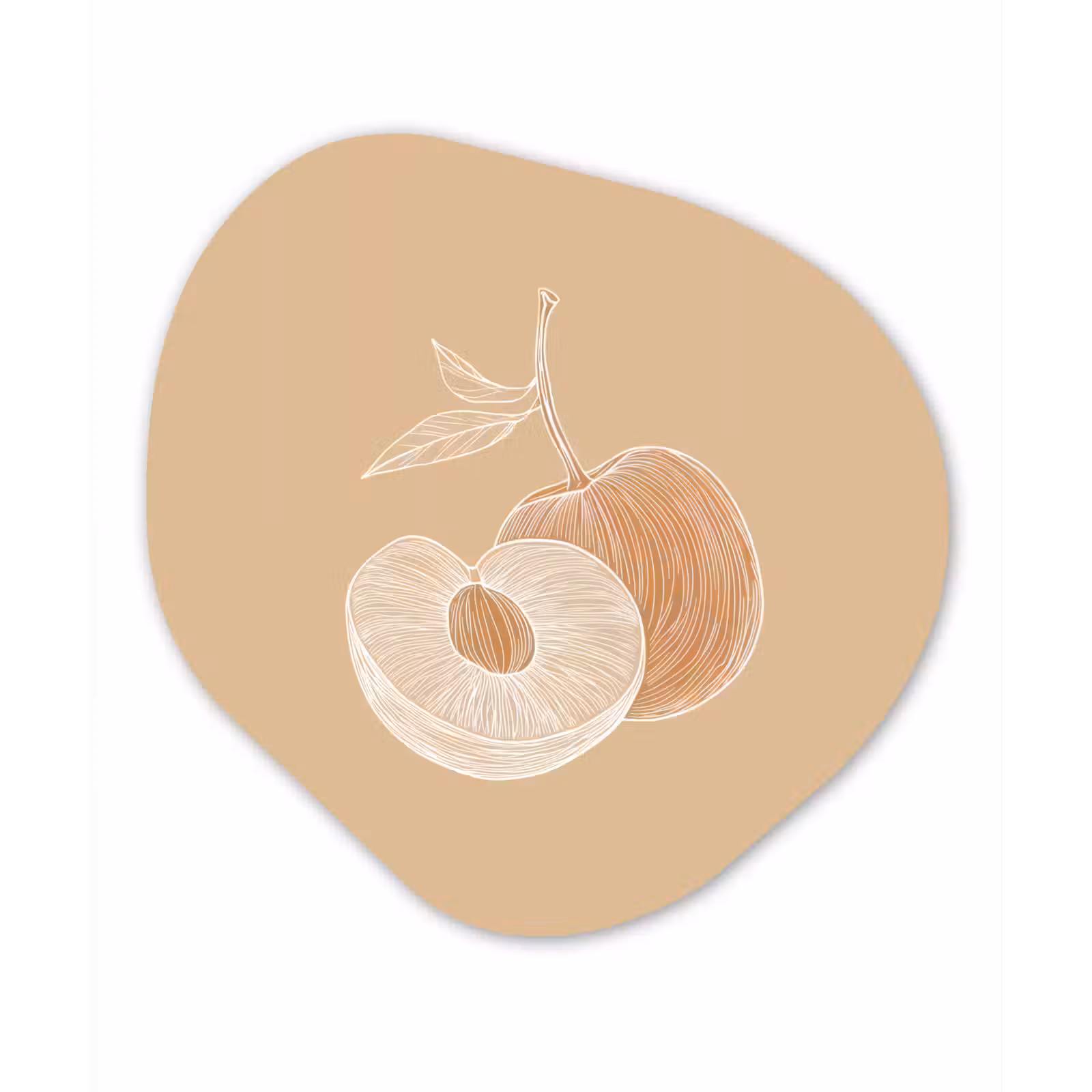 Organisch schilderij - Glas - Perzik - Lijntekening - Pit - Beige — 1