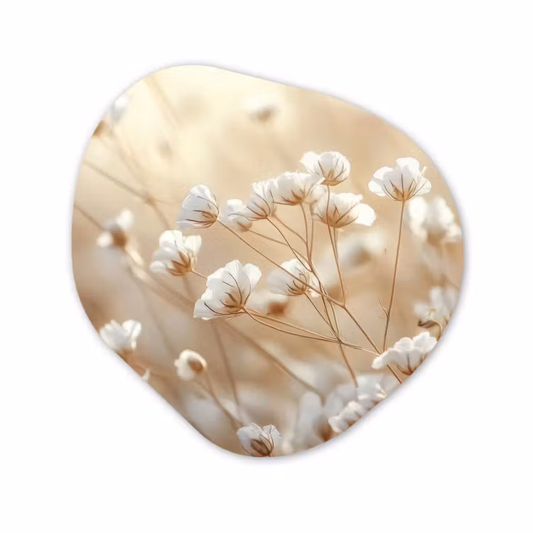 Organisch schilderij - Glas - Witte Bloemen Beige — 1