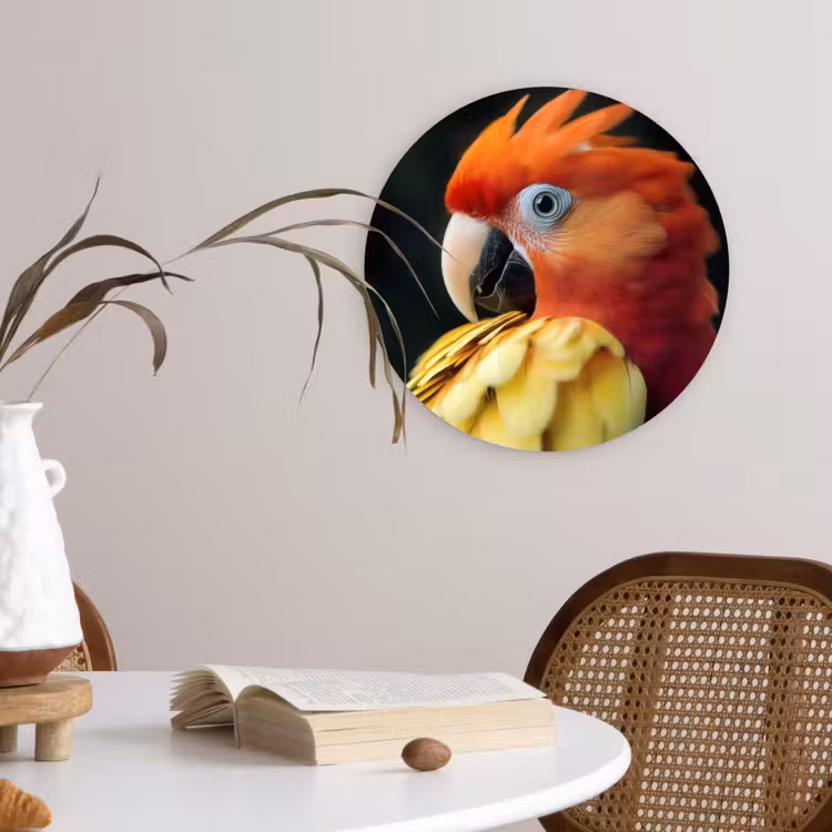Muurcirkel glas - Close-up - Papegaai - Veren - Oranje — 4