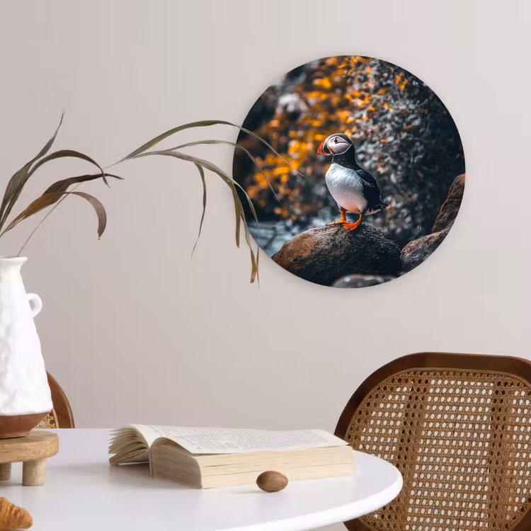 Muurcirkel glas - Papegaai - Vogel - Rots - Wit — 4