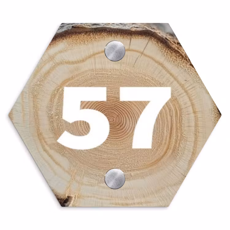 Naambordje voordeur - Hexagon - Boomschijf - Traditioneel — 1